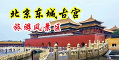 男人操少妇暗网网中国北京-东城古宫旅游风景区